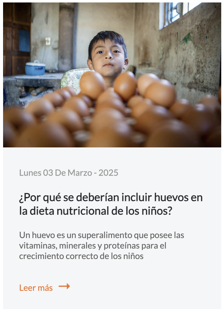 Por qué comer huevos Por qué comer huevos